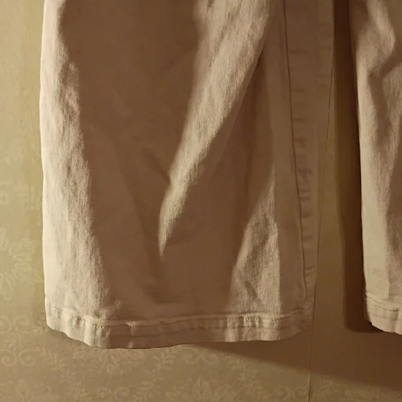 Pilcro Cream High Rise Buttoned Pants. Baggy Fit, Wide Leg. Size 28. - Picture 8 of 16